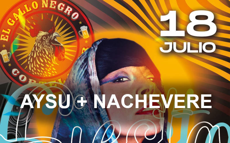 Aysu concert at El Gallo Negro