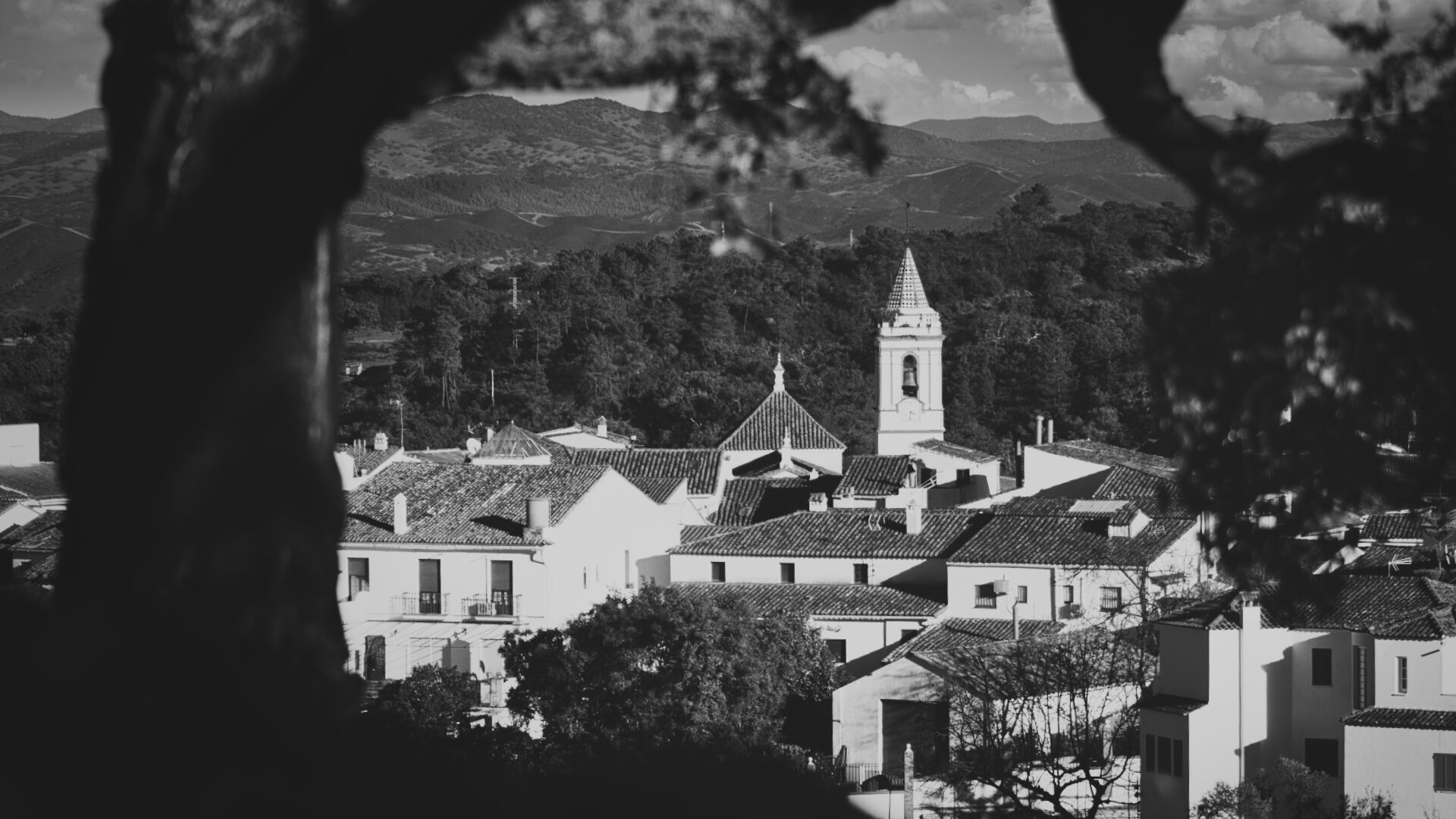 Cortelazor la Real