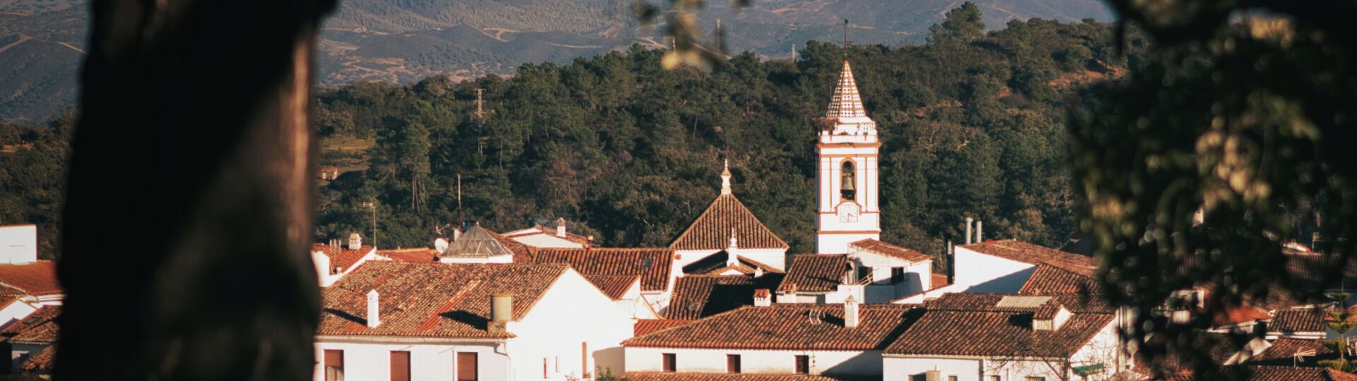 Cortelazor la Real