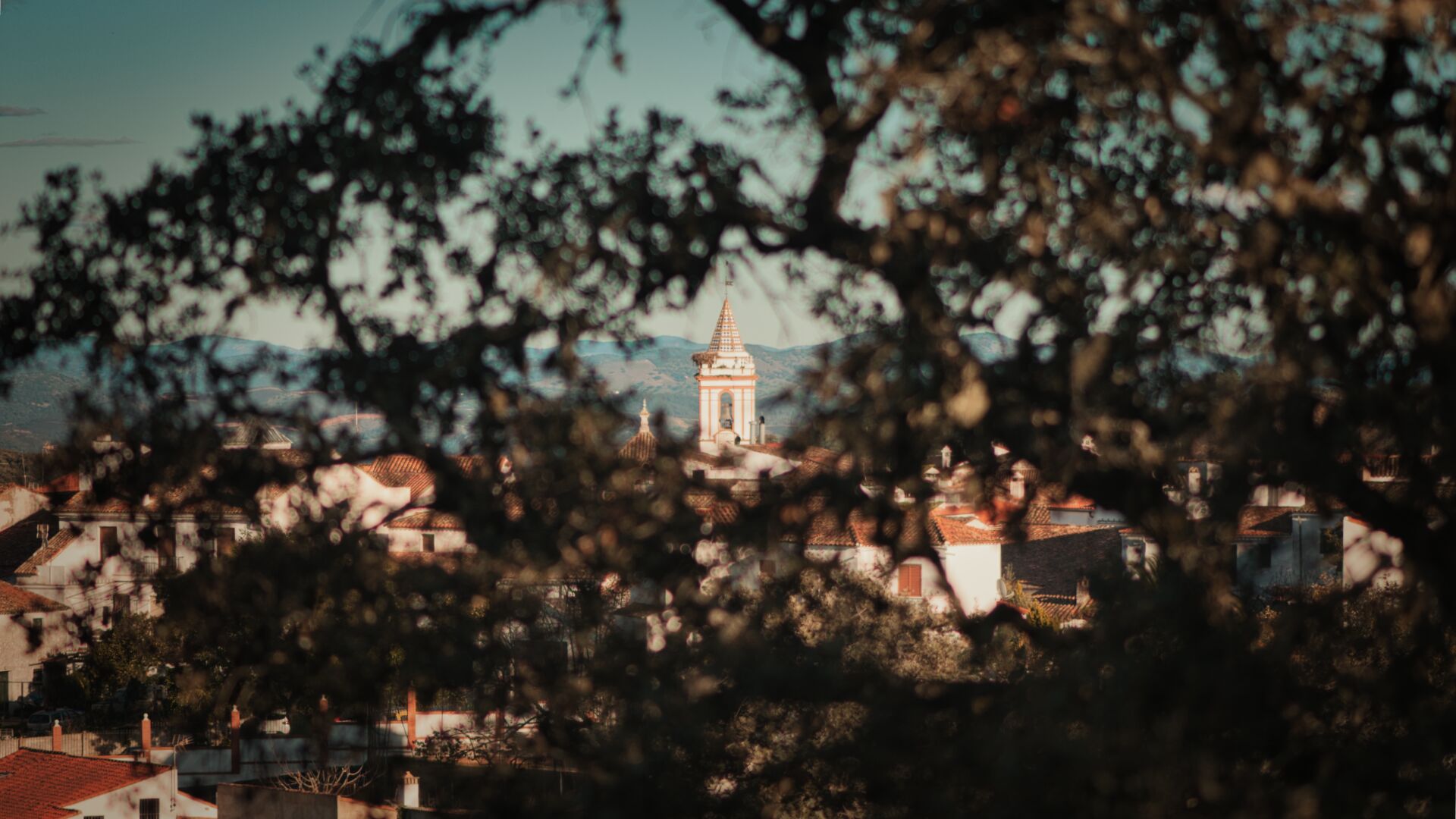 Árboles en Cortelazor